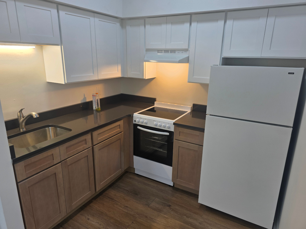 Apartment 3 Kitchen