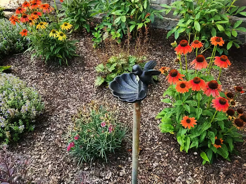 black mini bird bath
